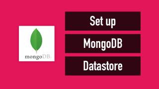 Set up MongoDB Datastore and Debugging